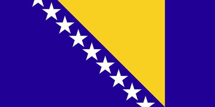 Flat vector illustration of the national flag of Bosnia and Herzegovina isolated on a white background for country symbol design.