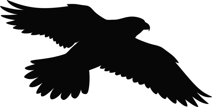 Black hawk silhouette flying with spread wings vector can Editable