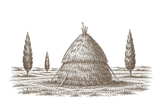Traditional woodcut vector illustration of a large conical haystack in a vast farm field flanked by tall cypress trees under a bright horizon.