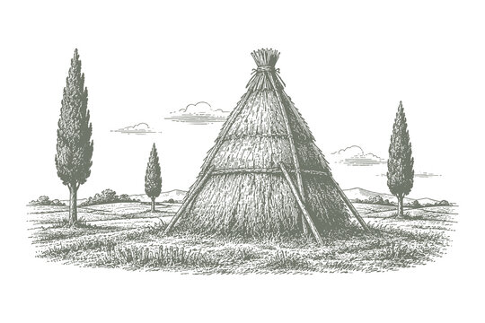 Minimalist woodcut vector illustration of a rustic straw hut or thatched shelter located in a quiet field with surrounding cypress trees.