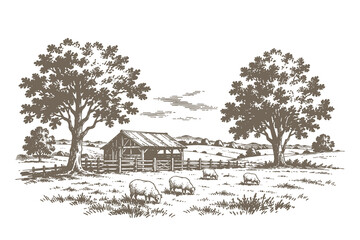 Naklejka premium Traditional farm barn with sheep in meadow landscape vector illustration, hand drawn engraving style agriculture scene for organic branding.