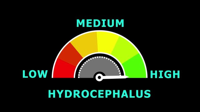 A conceptual gauge with a needle pointing to the mid-range, labeled LOW", MIDIUM", and HIGH" with color-coded segments, indicating a HYDROCEPHALUS" level-4k black background animation