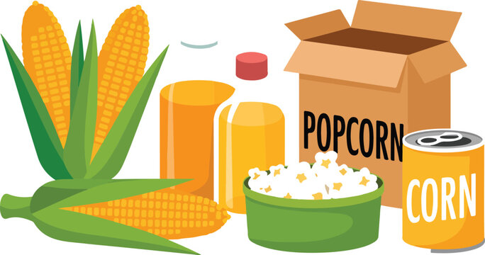 Fresh corn and popcorn vector illustration set featuring organic corn cobs oil bottles a snack bowl and cardboard box for cinema snacks healthy eating and agricultural grocery market themes.