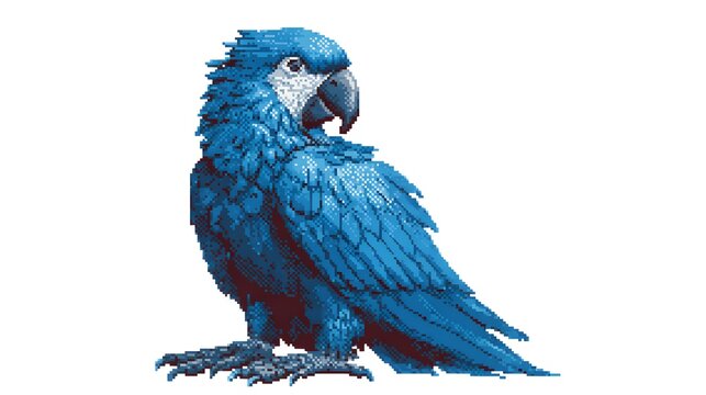 Blue and Yellow Macaw Parrot Pixel Art Flying Standing Collection