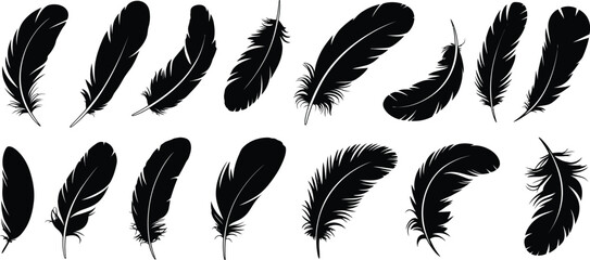 Bird, feather design set with fluffy swan plumage and soft feather elements, decorative pen style vector illustration collection. © Rashed 