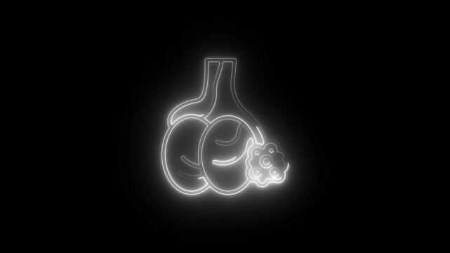 Glowing Human Lung Anatomy Medical Neon Light Effect Isolated on Black Background glowing effect