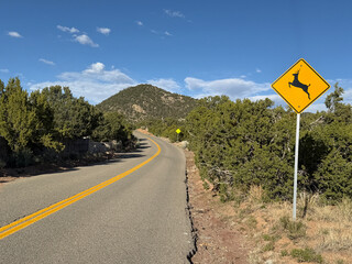 Naklejka premium NM SF Deer Xing Two Trails 2026