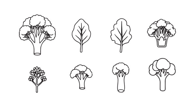 Broccoli florets and spinach leaves hand-drawn vector illustration with broccoli vegetable nutrition botanical illustration collection background isolated minimalist ingredient vegetarian