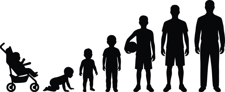 Human life cycle silhouettes depicting growth stages on white background
