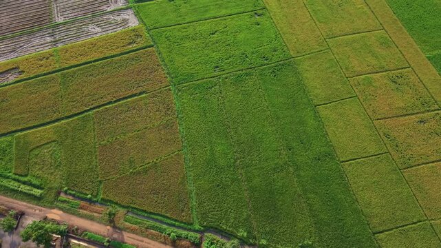 Cinematic aerial rotation shot over a quiet village and expansive agricultural plots Features a smooth transition from local infrastructure to a wide mountain horizon in a majestic eastern district