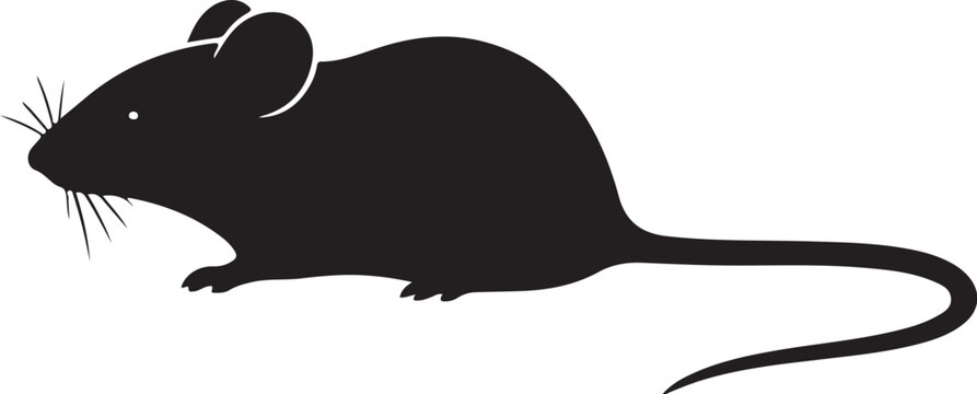 Black silhouette of a mouse white background rodent