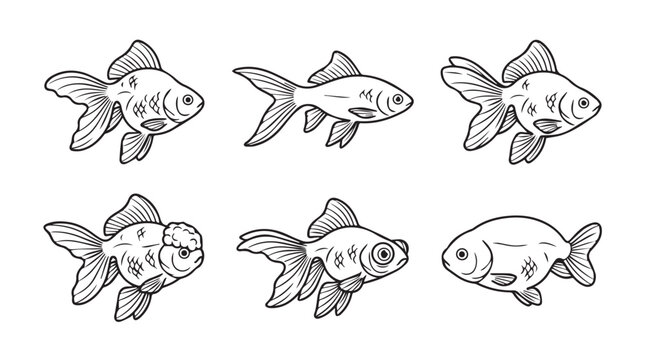 Collection of goldfish illustrations in different poses with hand drawn line art black and white aquatic life carassius auratus goldfish aquarium freshwater illustration minimalist creature