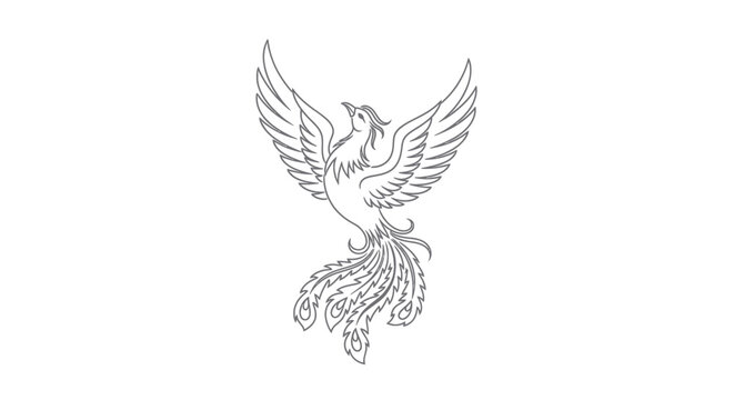 Phoenix Bird Line Art Drawing - Symbol of Rebirth and Immortality