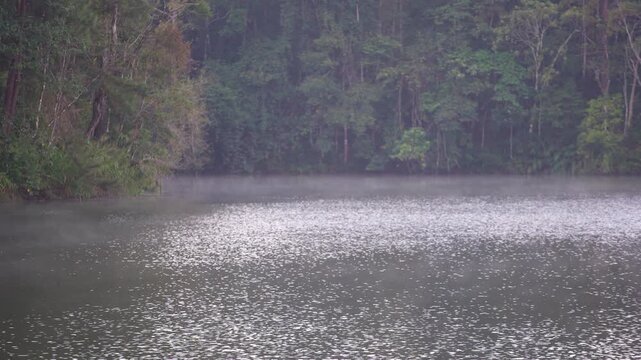 Pang Ung in Pang Tong Reservoir has cool mist for fog floating above lake or river water in winter mornings at Tham Pla National Park Pha Suea Waterfall Mae Hong Son by unseen rafting in Asia Thailand