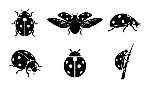 Set of 6 Black Ladybug Icons, Simple Vector Illustrations of Ladybirds in Various Poses, Insect Graphics for Nature and Garden Themes