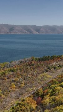 Aerial vertical shot of Lake Sevan coast with colorful fall trees, Armenia
