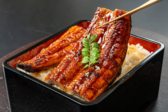美味しそうな鰻