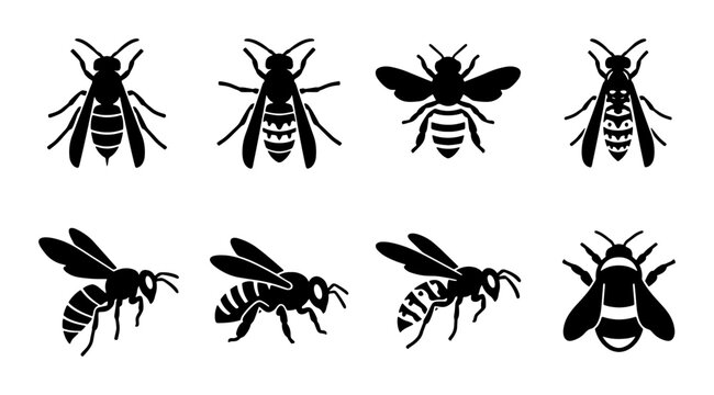 Set of 8 Black Silhouette Wasp Icons, Insect Vector Graphics, Flying and Stationary Pests, Nature and Wildlife Illustrations
