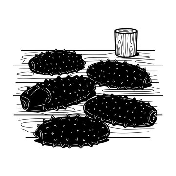 Black and White Illustration of Sea Cucumbers on a Wooden Surface