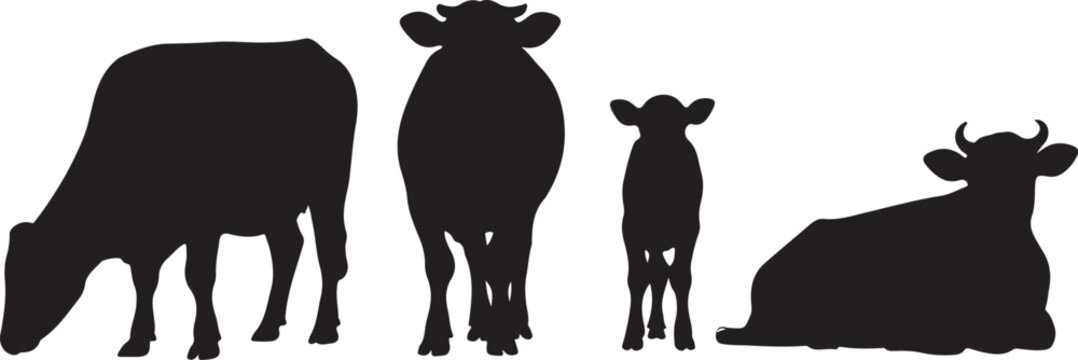 Four black cows in different poses silhouette style