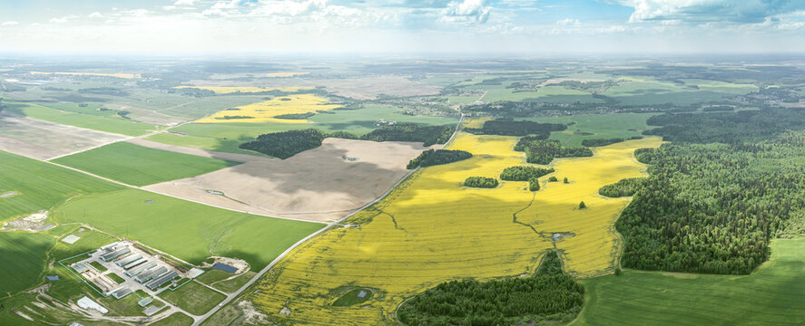 aerial panorama of rural summer landscape. natural scenery with cereal and colza fields. wide aerial panoramic view.