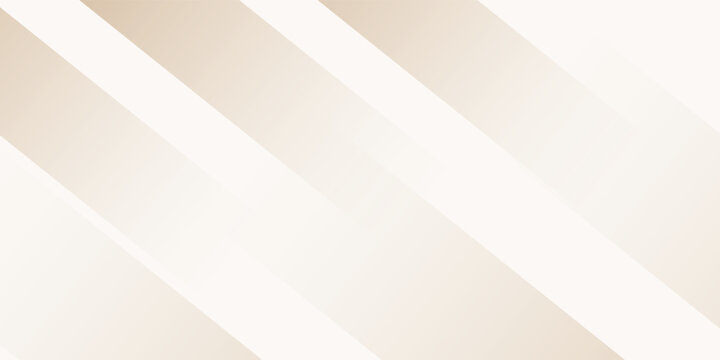 Gray abstract gradient HD background with lines. abstract white and gray line background. white abstract gradient color geometric background. Vector Line Pattern Background with White Texture .