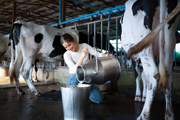 Fresh milk concept.  Young female farmer is pouring a fresh milk to filling a can on a dairy farm the background of cowshed and cow © Stella 16