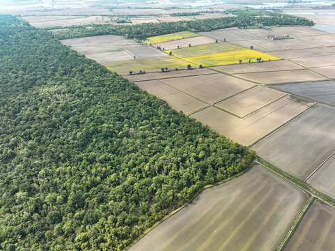 Aerial view of Parco Naturale del Bosco delle Sorti della Partecipanza bordering geometric agricultural fields and flooded rice paddies in Trino, Piemonte, Italy.