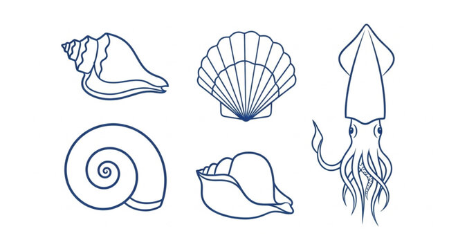 Collection of Marine Life Illustrations Seashells and Squid Outline.