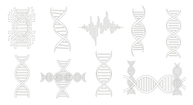 DNA Double Helix Molecular Structure.
