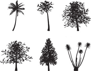 Obraz premium A diverse collection of tropical palm and pine tree silhouettes features black vector illustrations of oak branches and forest plant outlines for nature summer wood design patterns