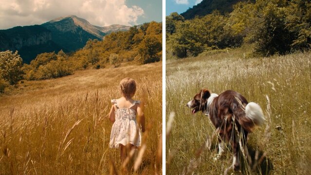Color Grading