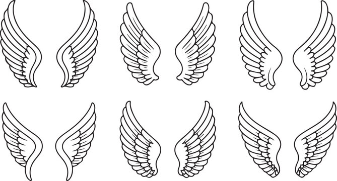 Various feather and wing illustration designs