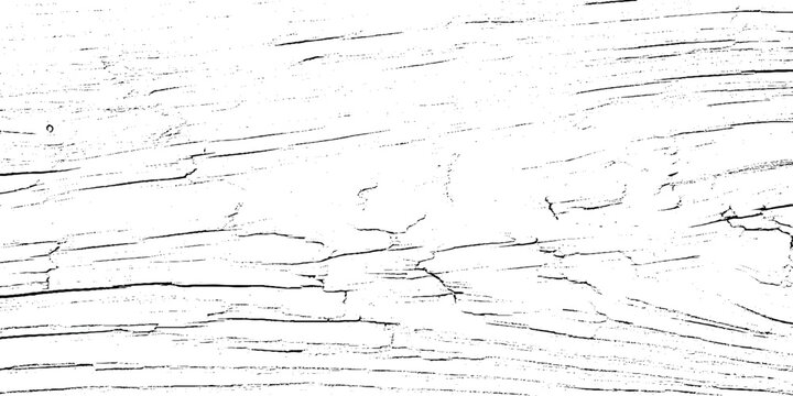 Vector illustration of a detailed wood grain grunge  texture background with cracks and lines
