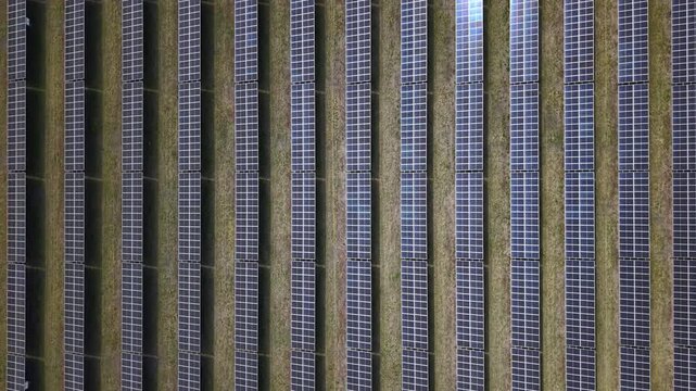 An aerial view of rows of photovoltaic solar panels set in a large field, representing modern green energy and sustainability.