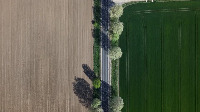 An aerial top-down view shows a lone vehicle traveling down a road separating distinct cultivated agricultural field textures.