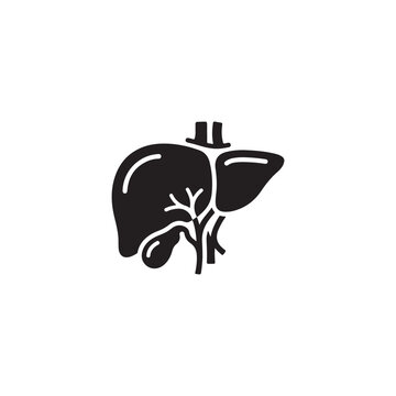 Liver and gallbladder human organ illustration with hat on top