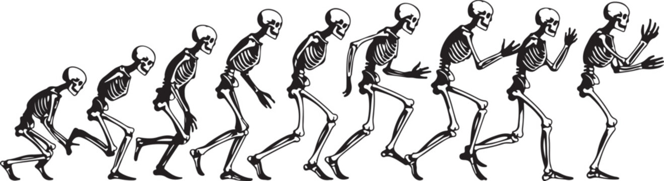 Skeleton figures walking and running sequence