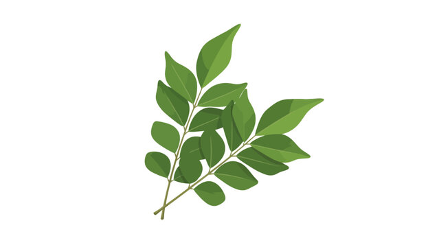Green Leafy Branch Stem.