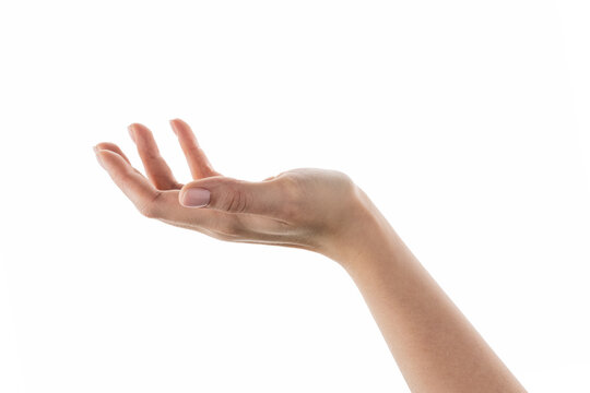 Female cupped hand to hold something isolated on white