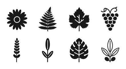 8 Nature silhouette icons leaf flower grape fern monstera, flat black style, for botanical branding © Bundleart