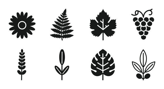 8 Nature silhouette icons leaf flower grape fern monstera, flat black style, for botanical branding