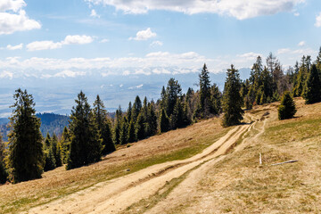 Wejście zielonym szlakiem z Kowańca na Turbacz. Widok na Tatry. Majówka w Gorcach. Wiosna, maj 2026. Polska © Katarzyna