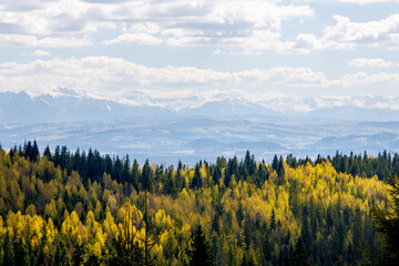 Wejście zielonym szlakiem z Kowańca na Turbacz. Widok na Tatry. Majówka w Gorcach. Wiosna, maj 2026. Polska © Katarzyna