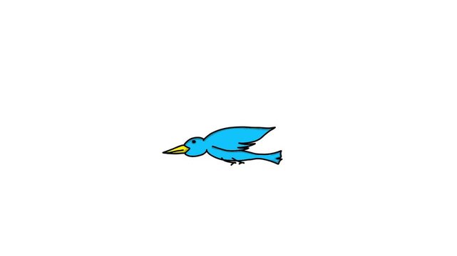 Animated video of a small blue bird