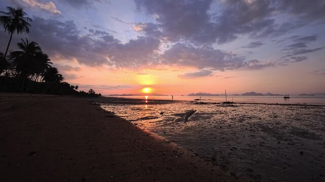 Sunset over tidal flats with palm trees and warm reflections on wet sand