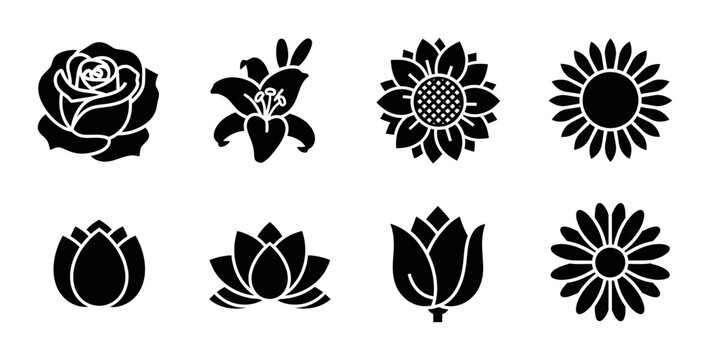 8 Flower silhouette icons rose lily sunflower lotus tulip daisy, solid black style, nature botany