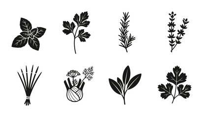 8 Culinary Herb Silhouette Icons Basil Rosemary Parsley Fennel, Solid Black Style, Food Cooking Set © Taskin