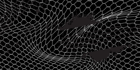 Fishing or soccer net. Repeated hexagon pattern. Black wired mesh texture isolated on white background.ilustrasion modern.abstract,eps 10 © samsul