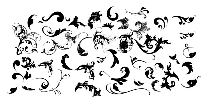 Ornate Swirl Bird Crown Infinity Floral Flourish Vector Set